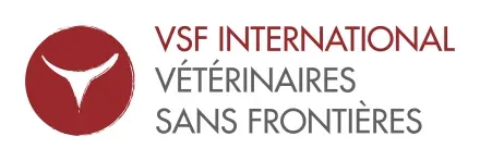 VSF